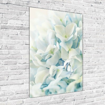 Acrylic print Hydrangea flower