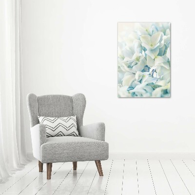 Acrylic print Hydrangea flower