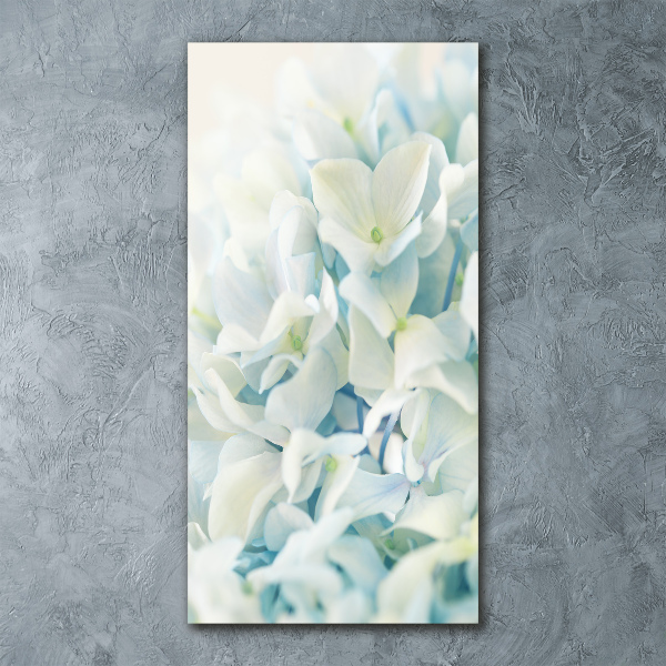 Acrylic print Hydrangea flower