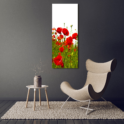 Acrylic print Mak�w field