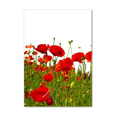 Acrylic print Mak�w field