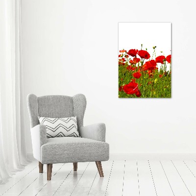 Acrylic print Mak�w field