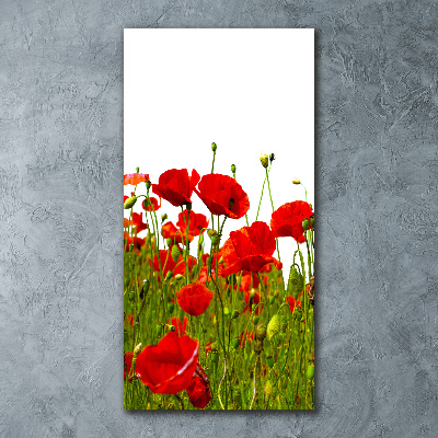 Acrylic print Mak�w field