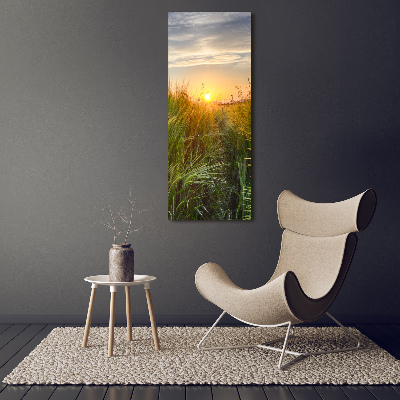 Acrylic glass print Wheat field