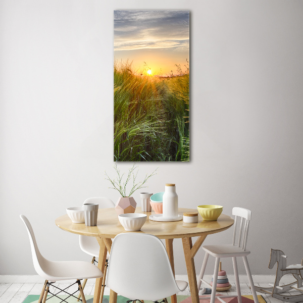 Acrylic glass print Wheat field