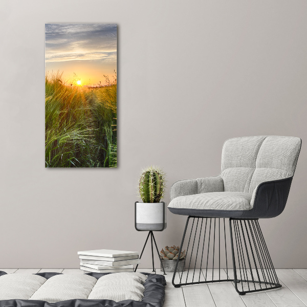 Acrylic glass print Wheat field