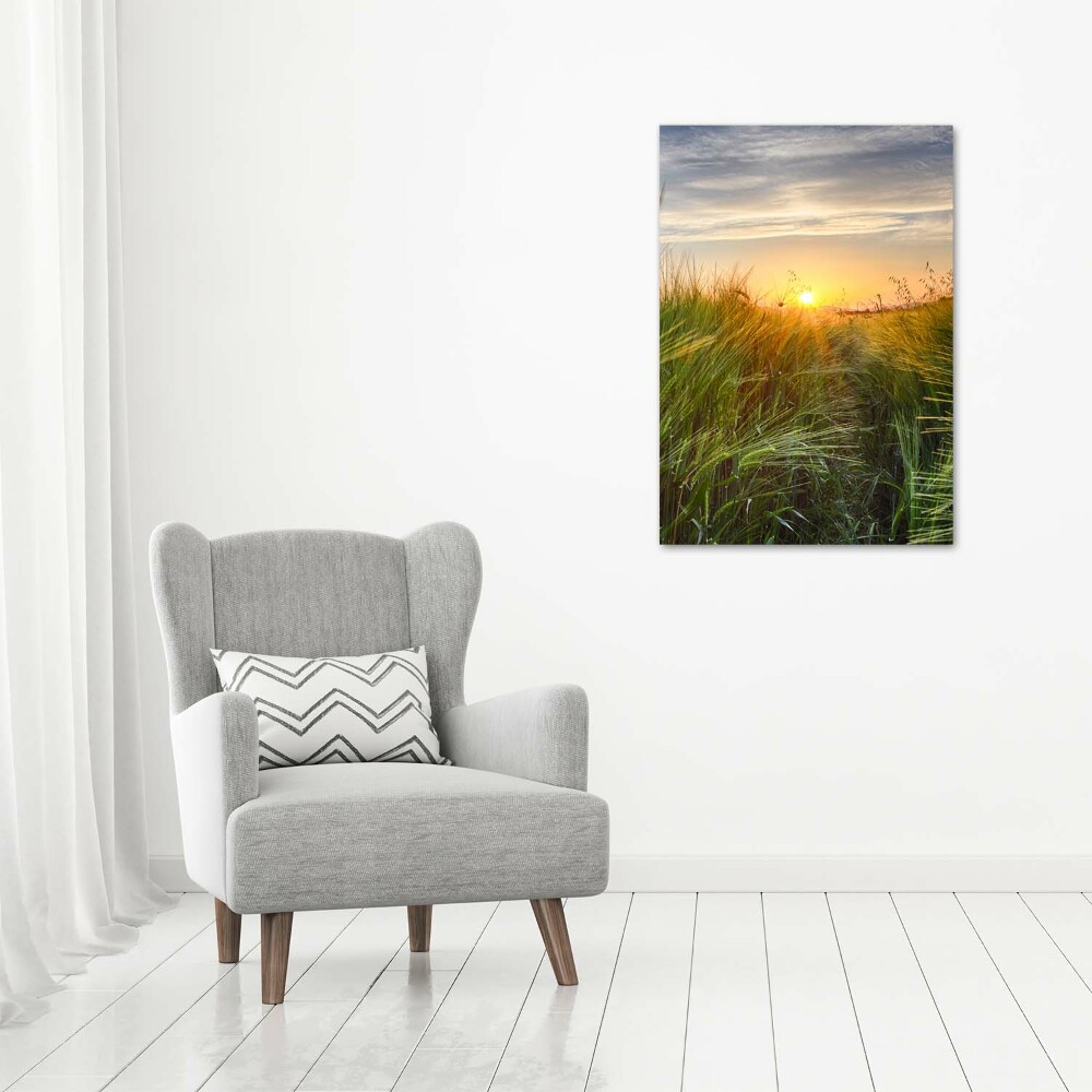 Acrylic glass print Wheat field