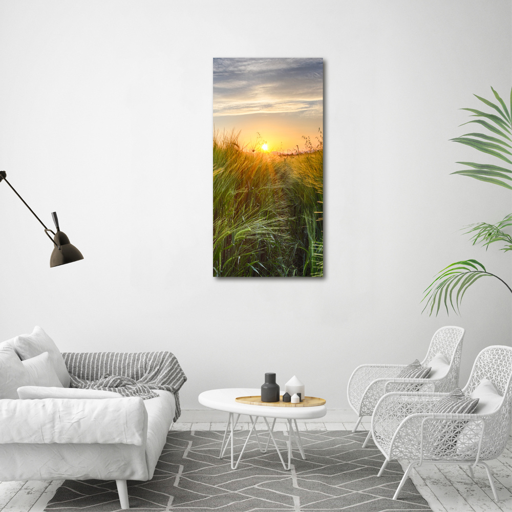 Acrylic glass print Wheat field