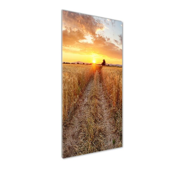 Print on acrylic glass Wheat field