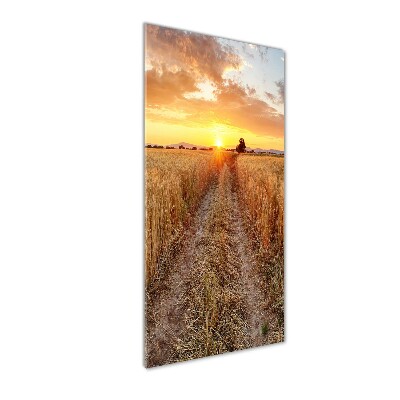 Print on acrylic glass Wheat field