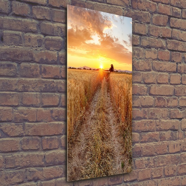 Print on acrylic glass Wheat field