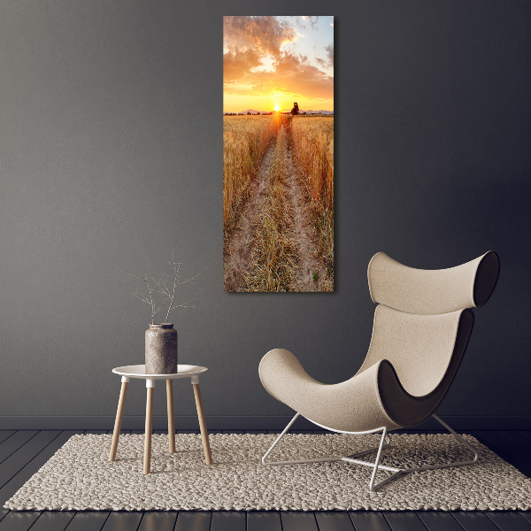 Print on acrylic glass Wheat field