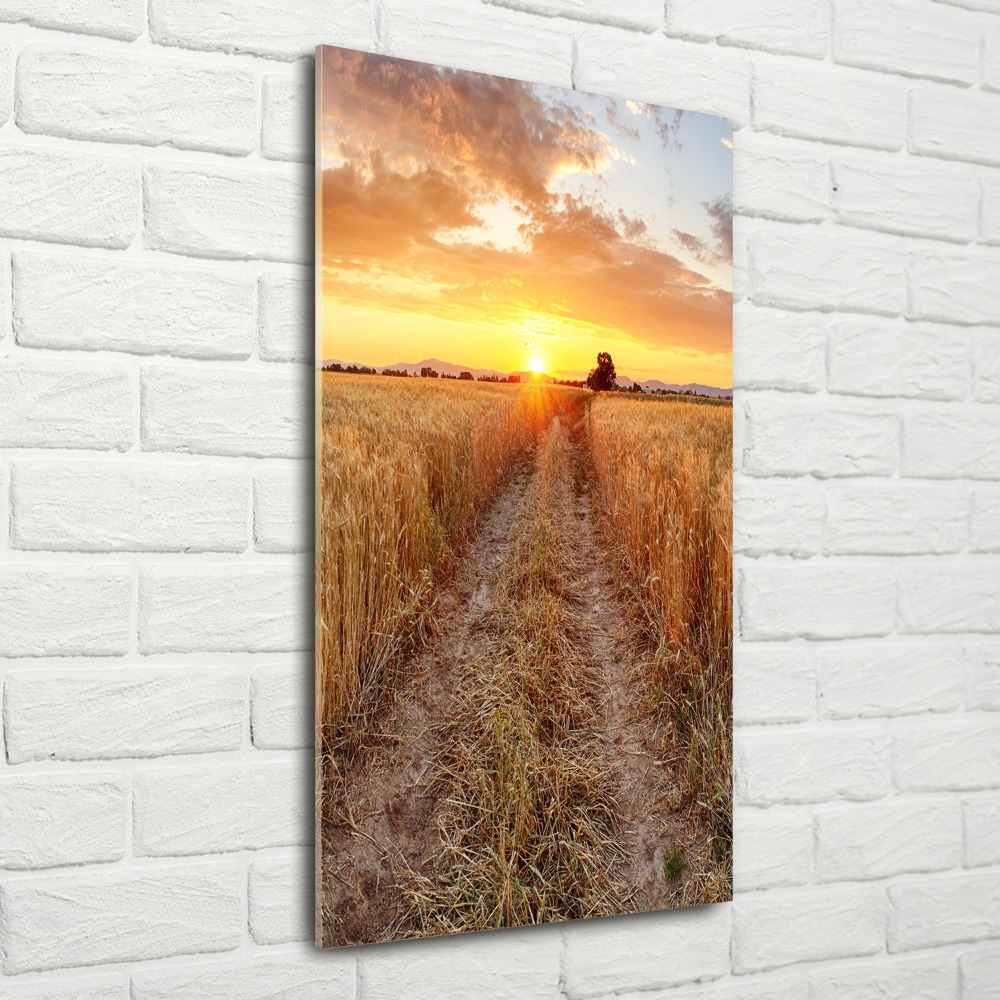 Print on acrylic glass Wheat field