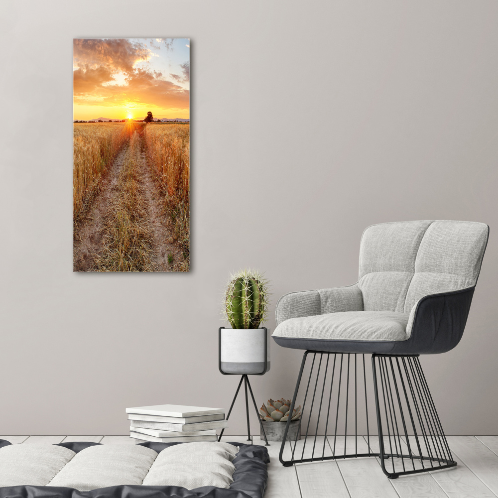 Print on acrylic glass Wheat field