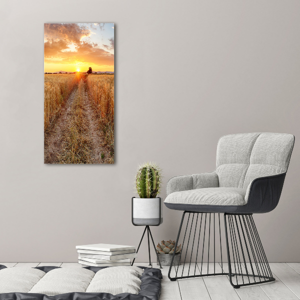 Print on acrylic glass Wheat field