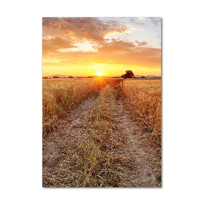 Print on acrylic glass Wheat field