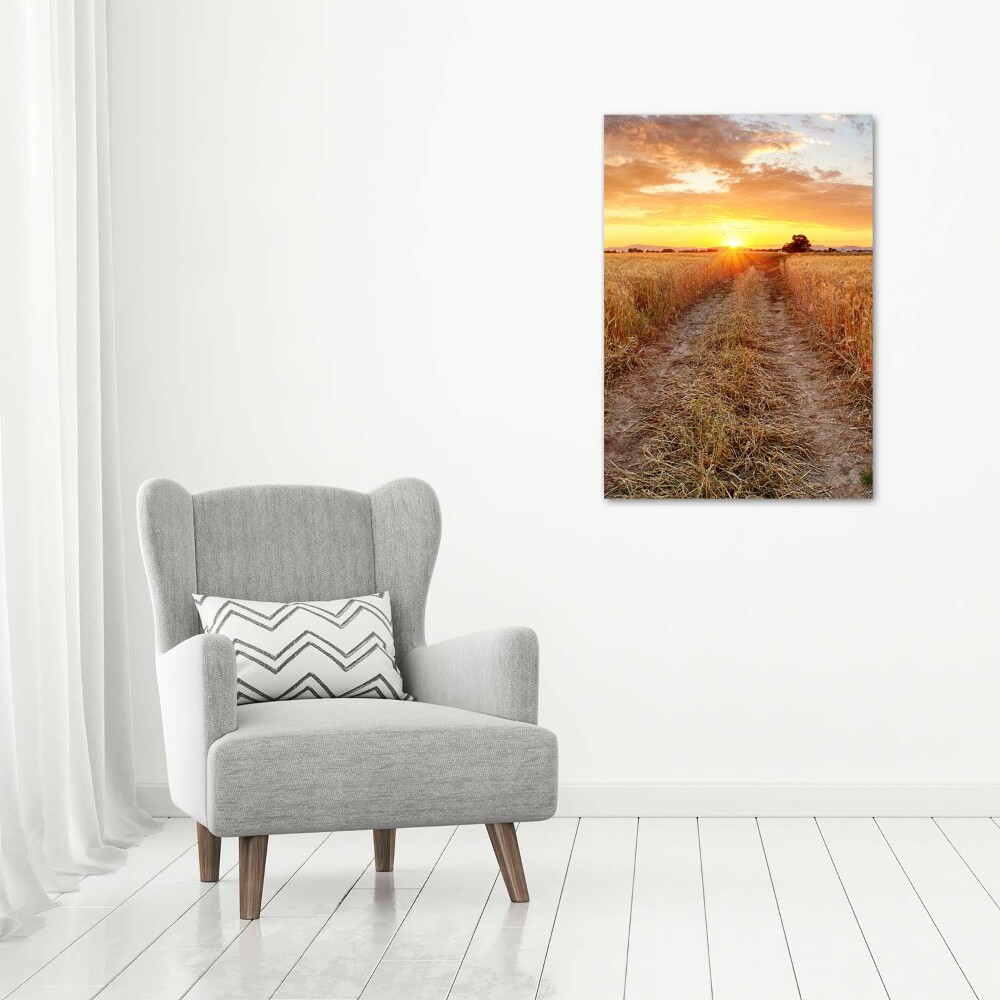 Print on acrylic glass Wheat field