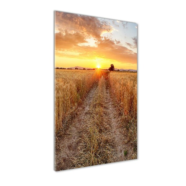 Print on acrylic glass Wheat field