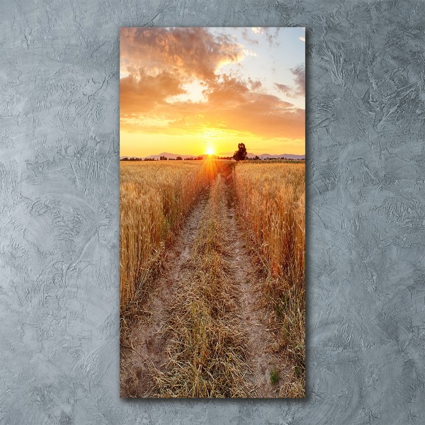 Print on acrylic glass Wheat field