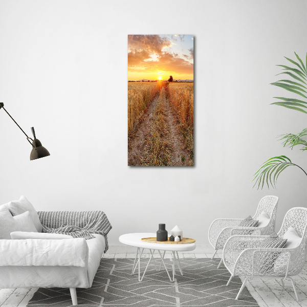 Print on acrylic glass Wheat field