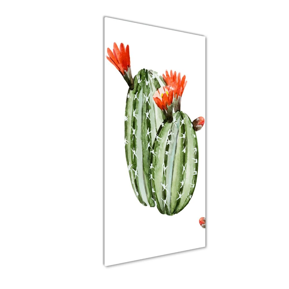 Print on acrylic glass Cacti