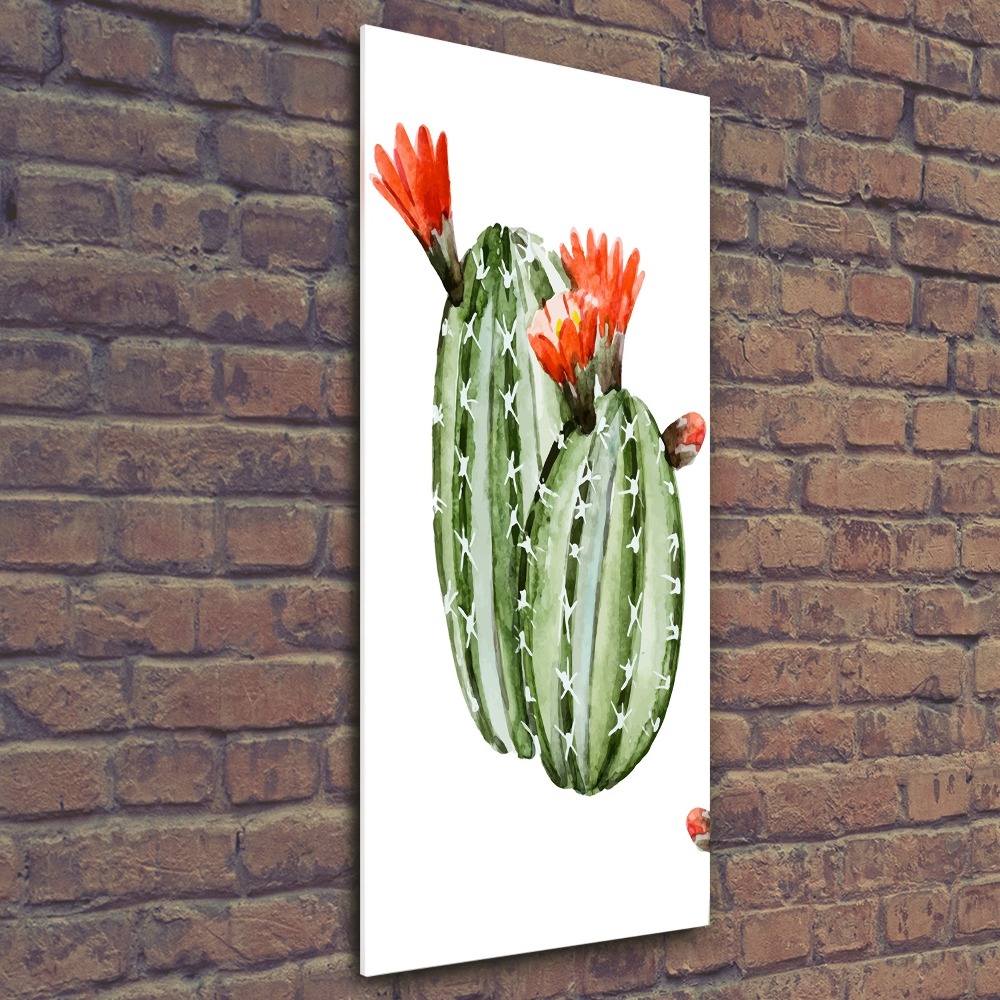 Print on acrylic glass Cacti