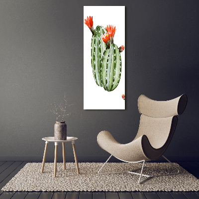 Print on acrylic glass Cacti