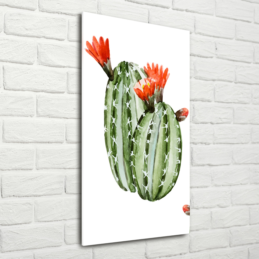 Print on acrylic glass Cacti