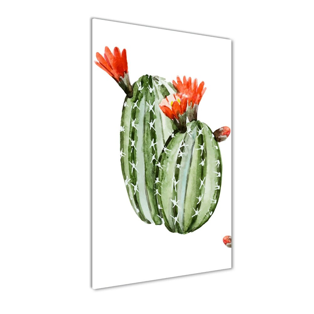 Print on acrylic glass Cacti