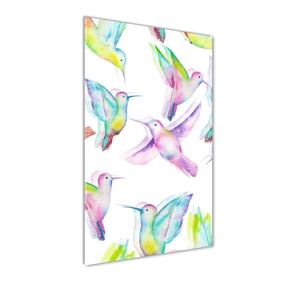 Print on acrylic glass Colorful hummingbirds