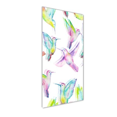 Print on acrylic glass Colorful hummingbirds