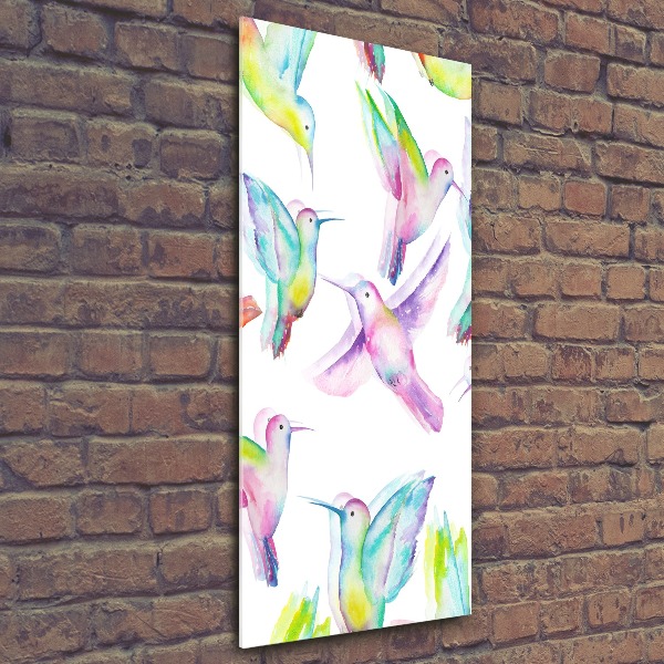 Print on acrylic glass Colorful hummingbirds