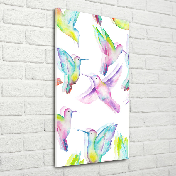 Print on acrylic glass Colorful hummingbirds