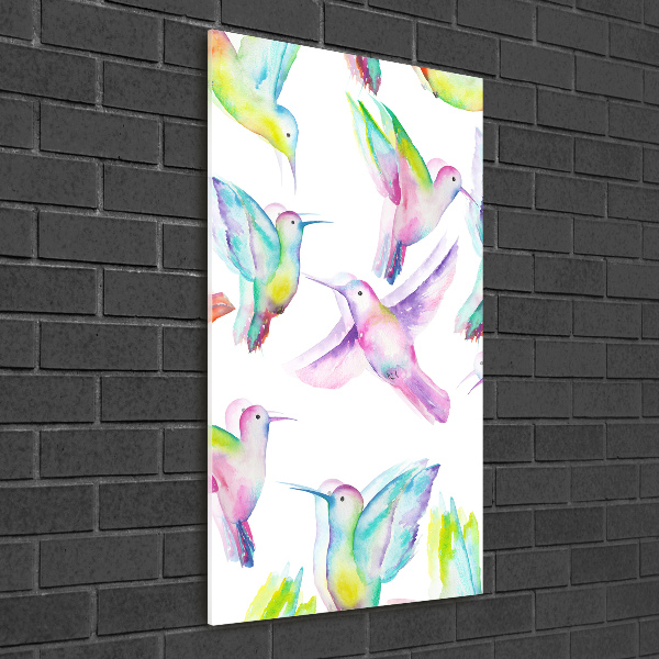 Print on acrylic glass Colorful hummingbirds