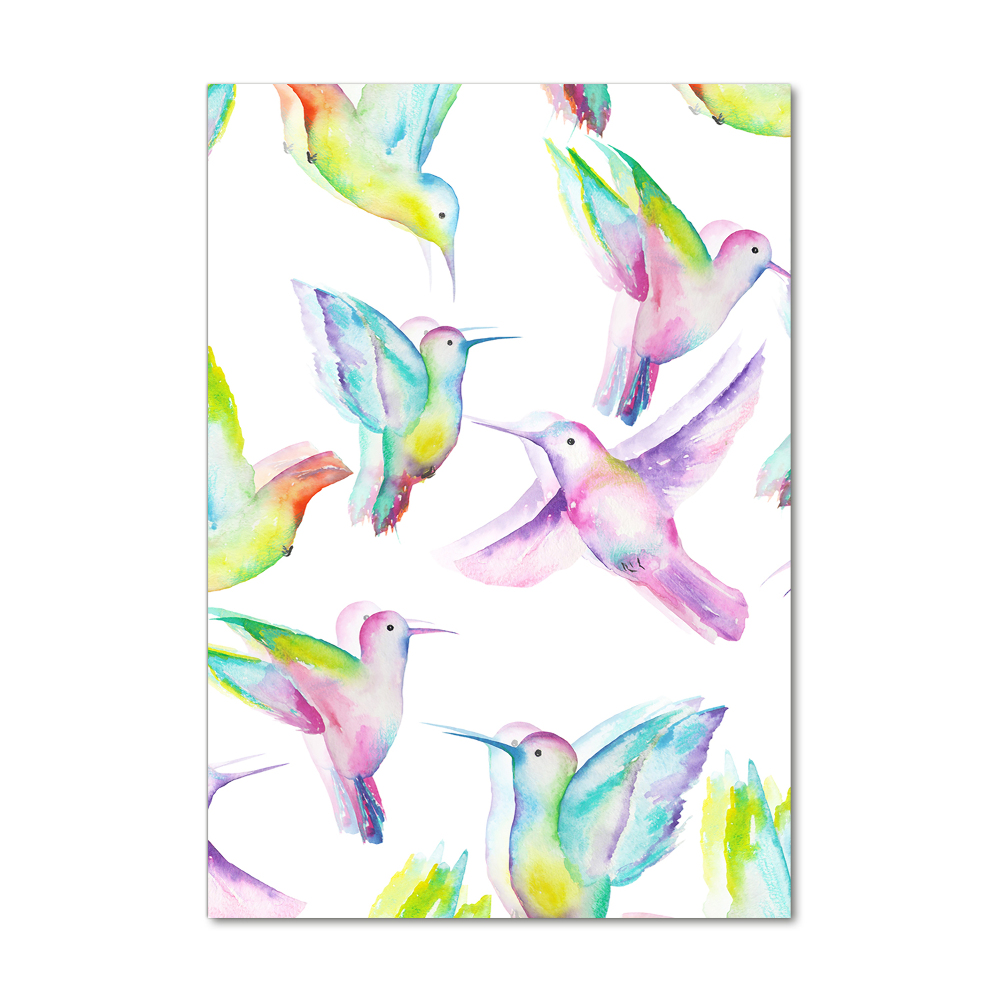 Print on acrylic glass Colorful hummingbirds