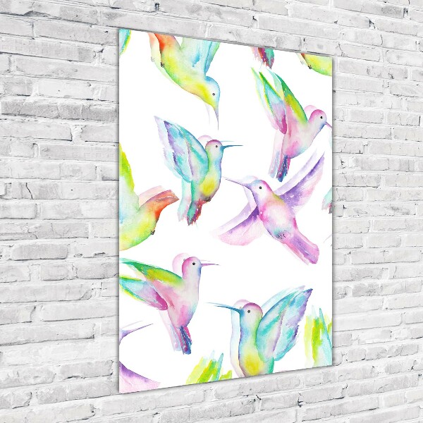 Print on acrylic glass Colorful hummingbirds