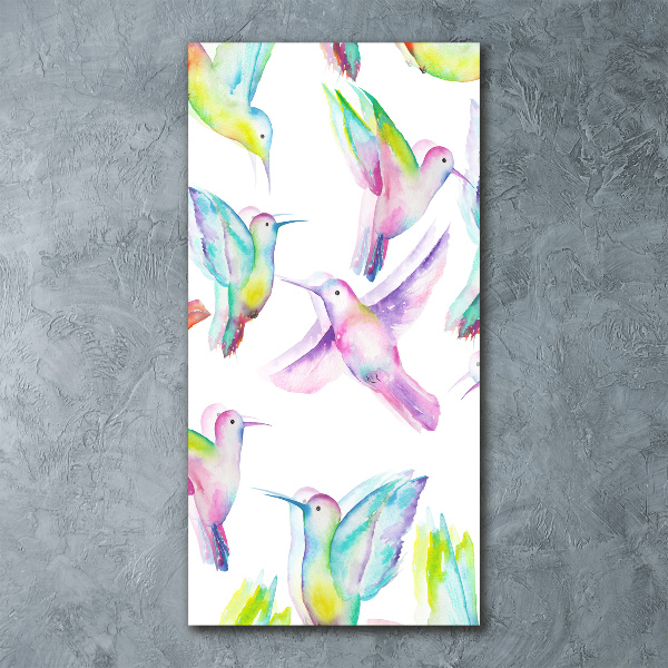 Print on acrylic glass Colorful hummingbirds