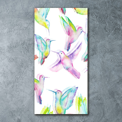 Print on acrylic glass Colorful hummingbirds