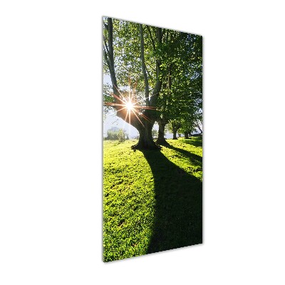 Acrylic glass print Park