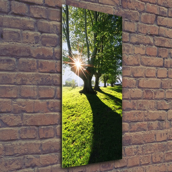 Acrylic glass print Park