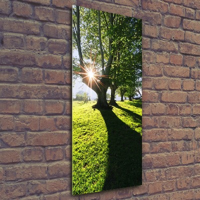 Acrylic glass print Park