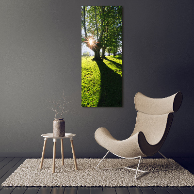 Acrylic glass print Park