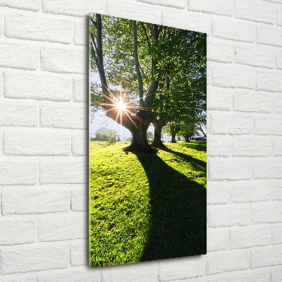 Acrylic glass print Park