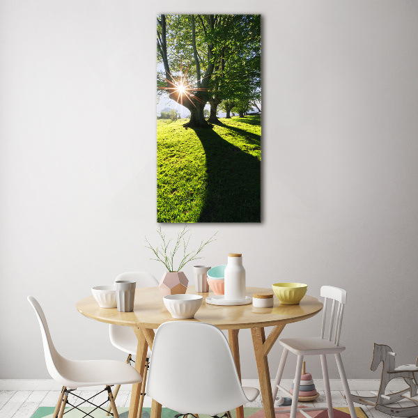 Acrylic glass print Park