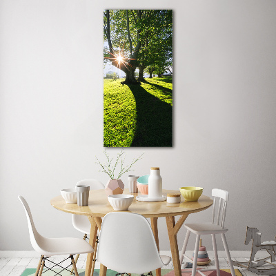 Acrylic glass print Park