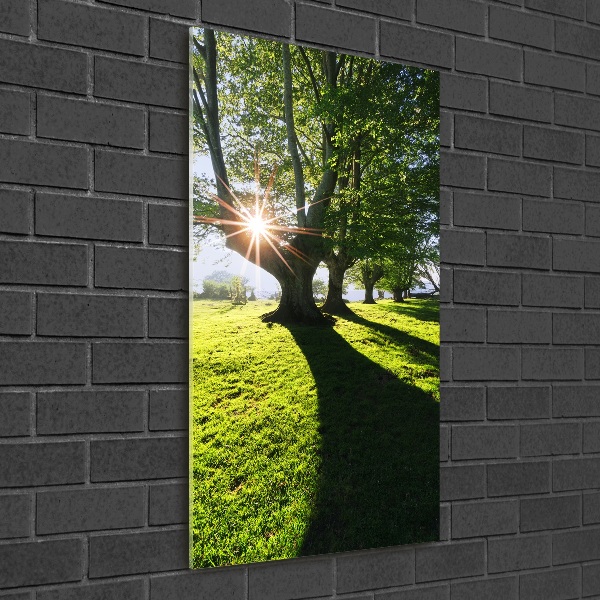 Acrylic glass print Park