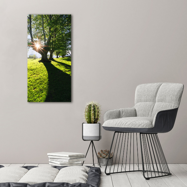 Acrylic glass print Park