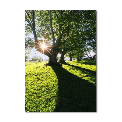 Acrylic glass print Park