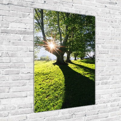 Acrylic glass print Park