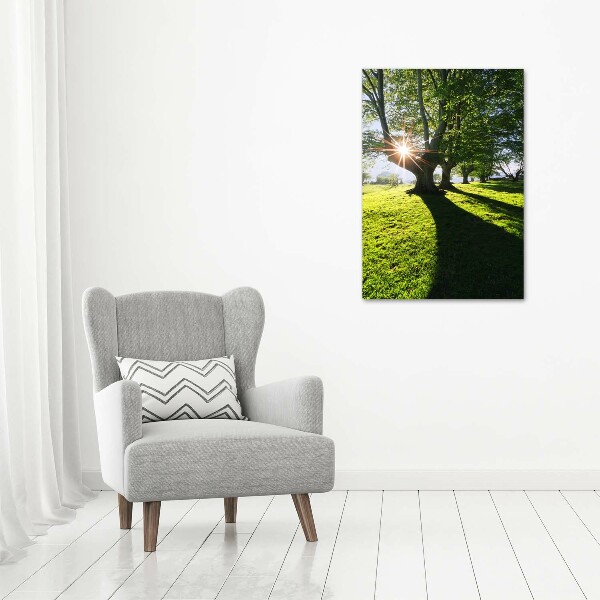 Acrylic glass print Park